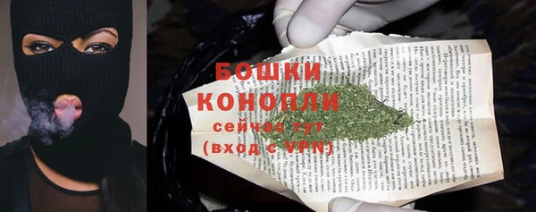 spice Гусев