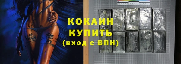 spice Гусев