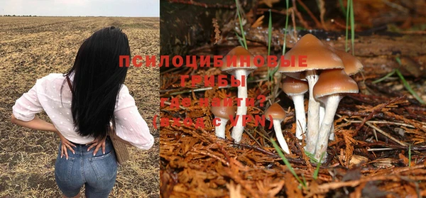 mdma Сосновый Бор